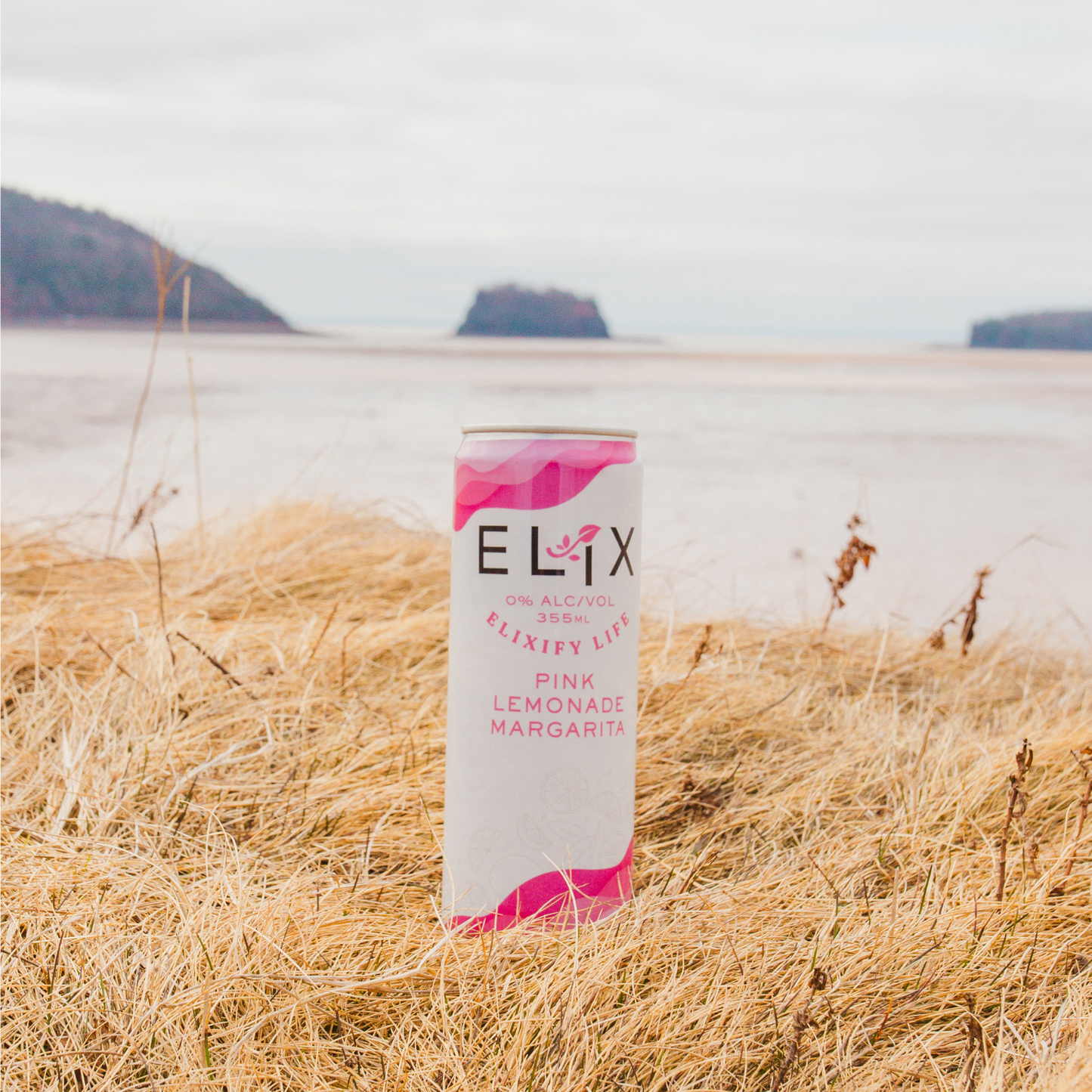 Elix Pink Lemonade Margarita (24 x 355mL)