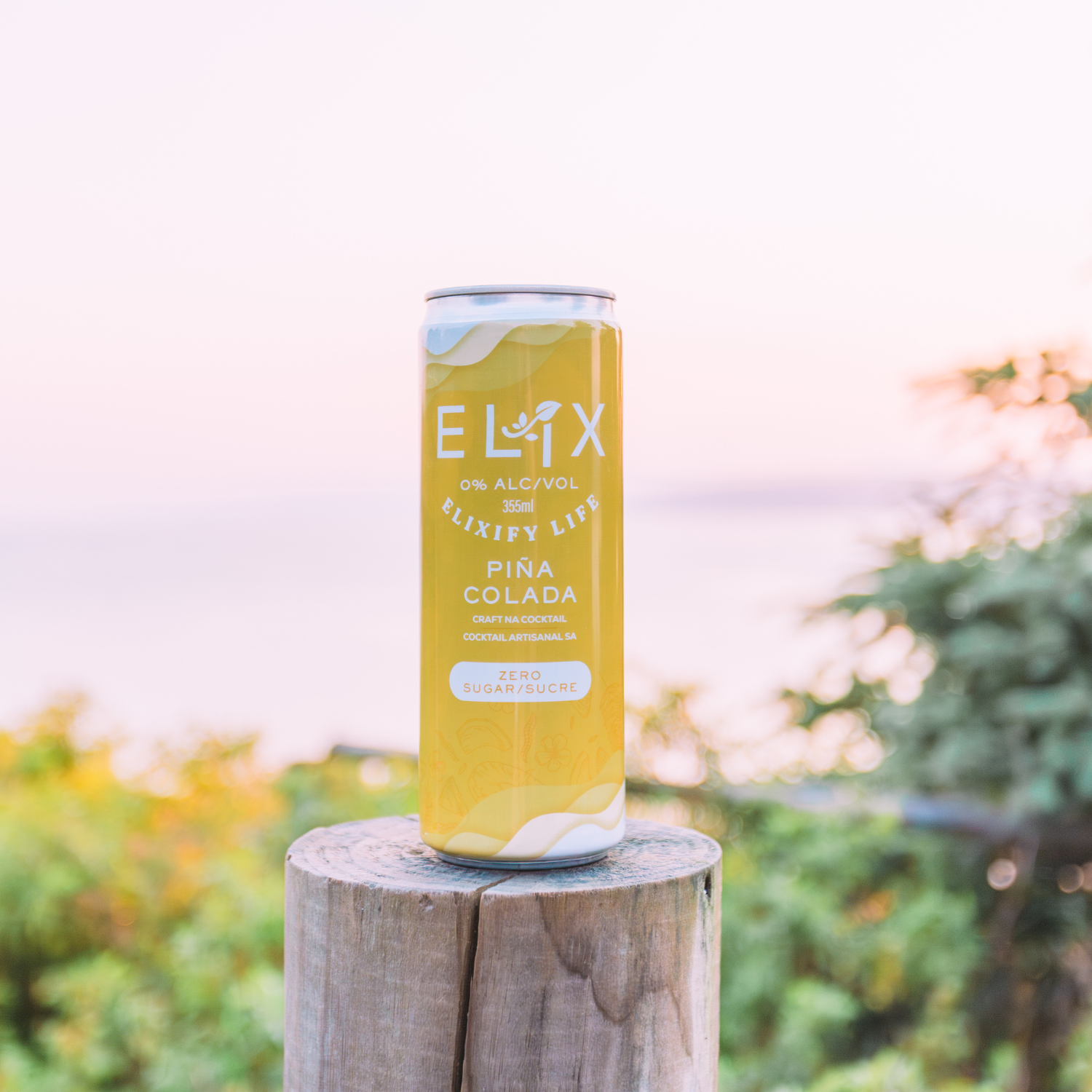 Zero Sugar Pina Colada (1 x 355mL)