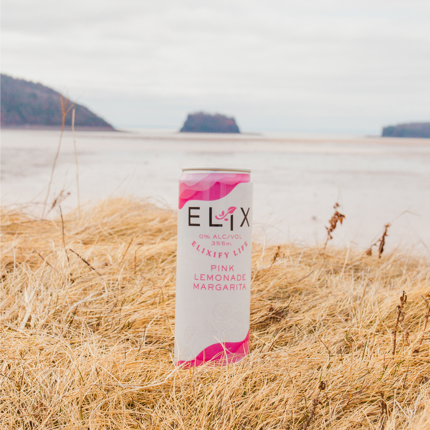 Elix Pink Lemonade Margarita (1 x 355mL)