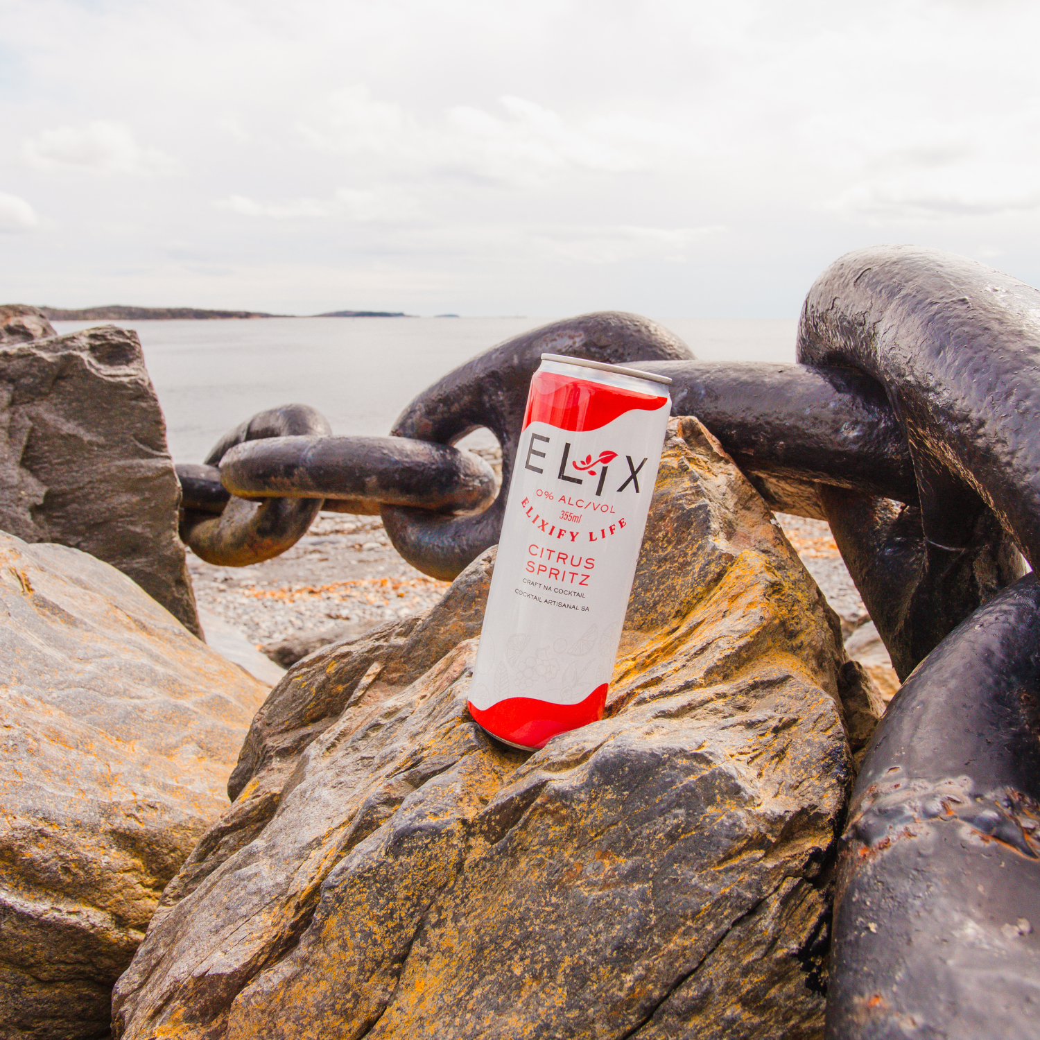 Elix Citrus Spritz (1 x 355mL)