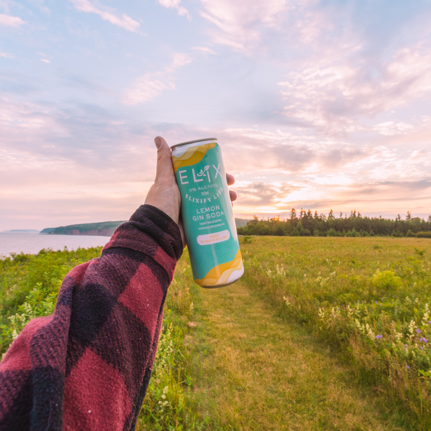 Zero Sugar Lemon Gin Soda (1 x 355mL)