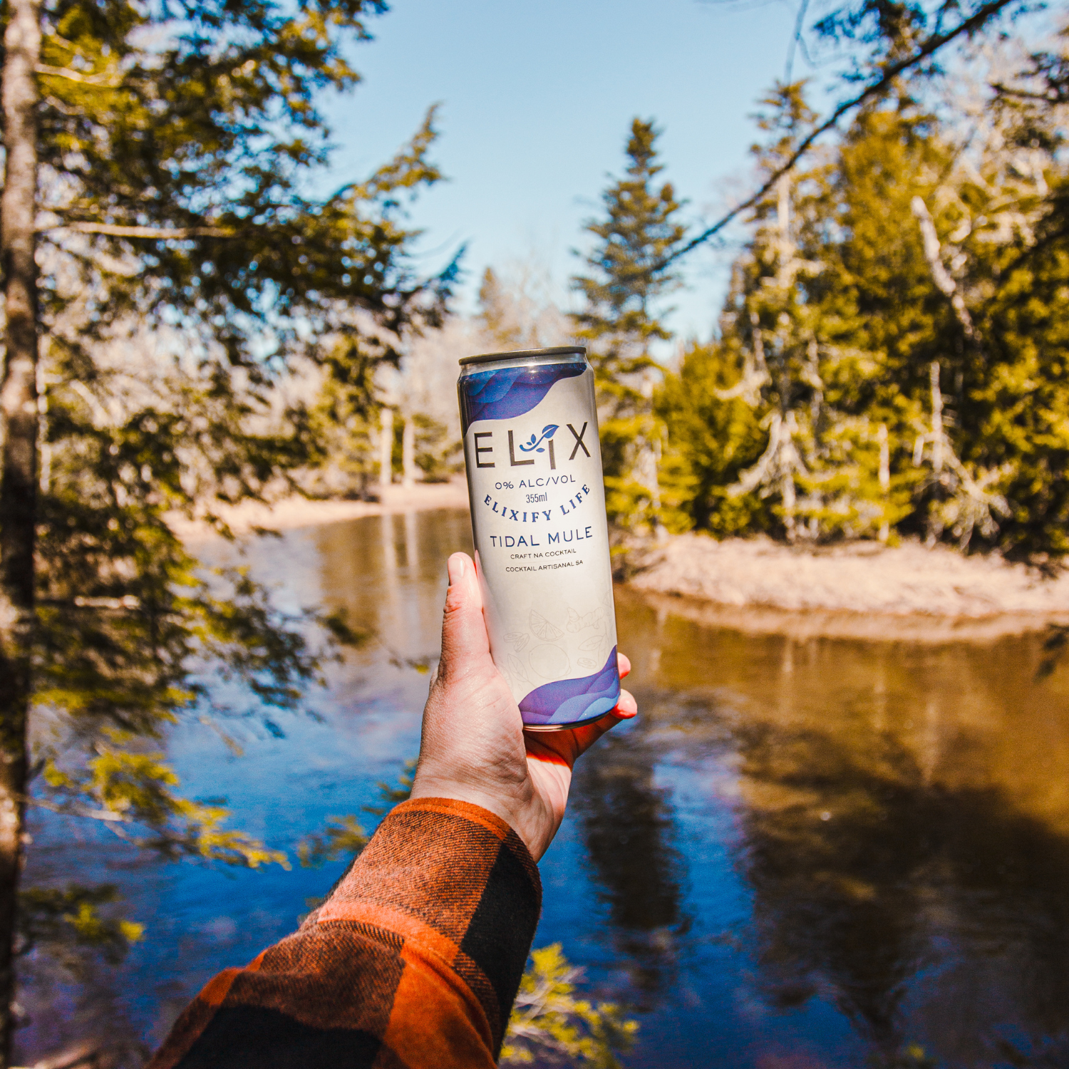 Elix Tidal Mule (1 x 355mL)